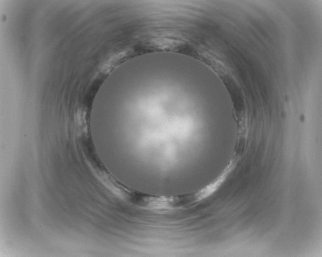 X0000081590182200701221102