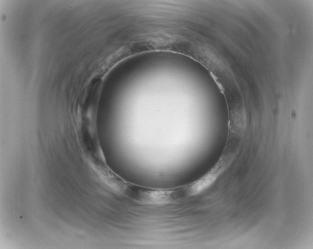 X0000081590184200701221102