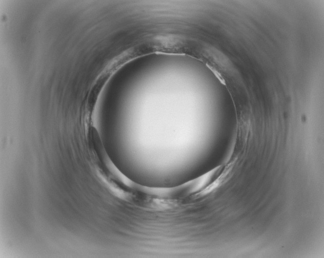 X0000081590188200701221102