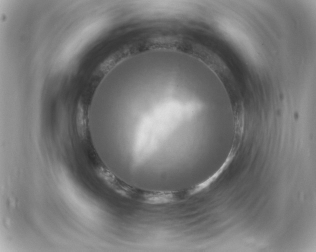 X0000081590191200701221102