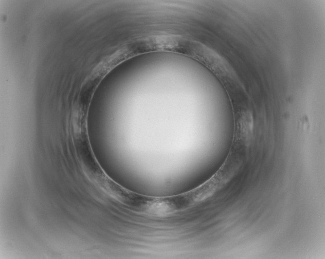 X0000081590218200701221101