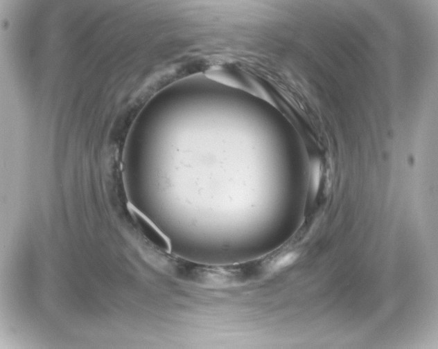 X0000081590229200701221101