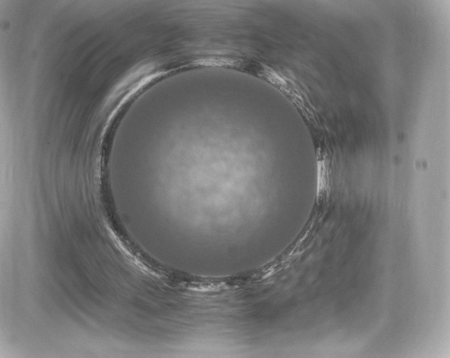 X0000081590243200701221100