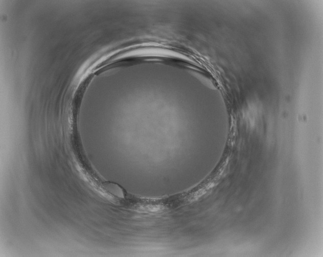 X0000081590247200701221100
