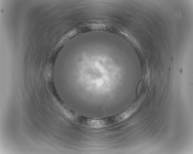 X0000081590277200701221100