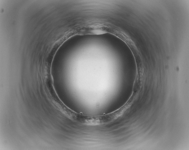 X0000081590362200701221059