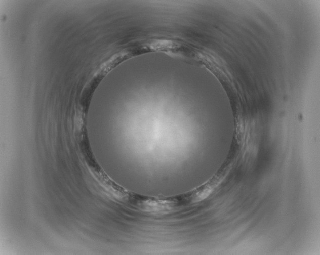 X0000081590367200701221059