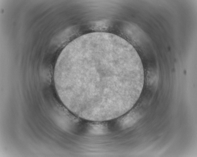 X0000081590370200701221059