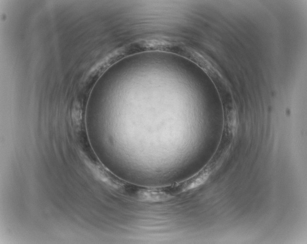 X0000081590372200701221059