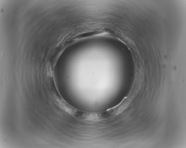X0000081590384200701221059