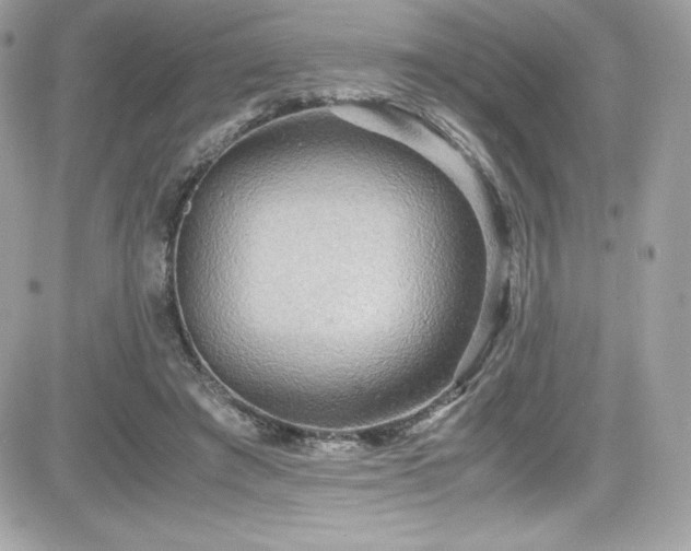 X0000081590401200701221058