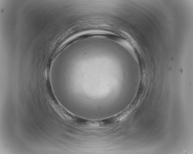 X0000081590405200701221058