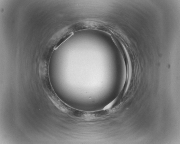 X0000081590413200701221058