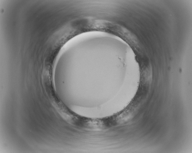 X0000081590415200701221058