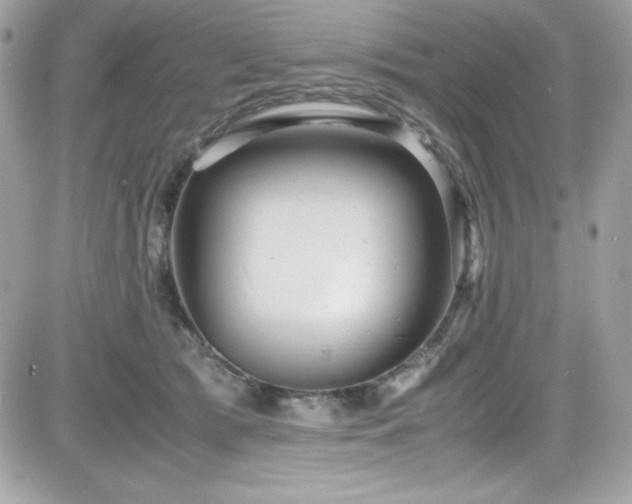 X0000081590417200701221058