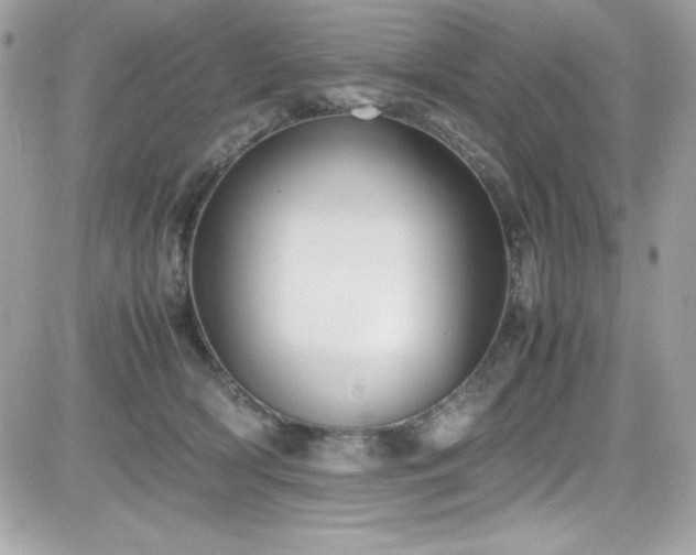 X0000081590418200701221058