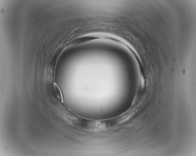 X0000081590421200701221058