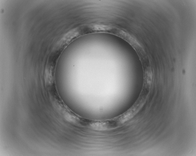 X0000081590422200701221058