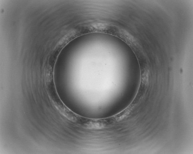 X0000081590464200701221057