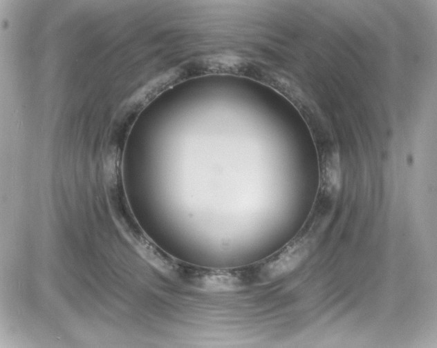 X0000081590468200701221057