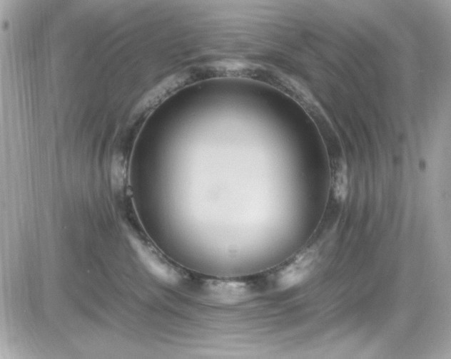 X0000081590476200701221057