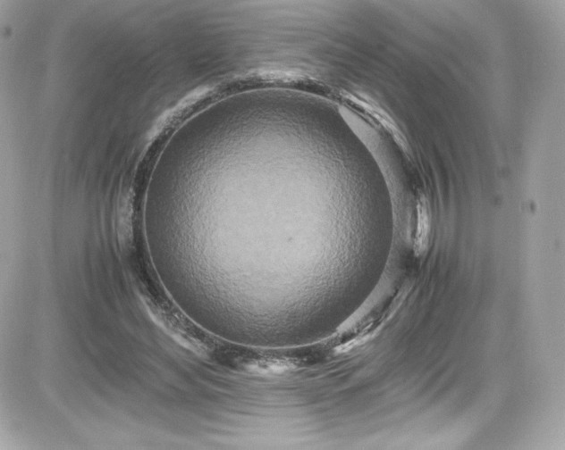 X0000081590492200701221056