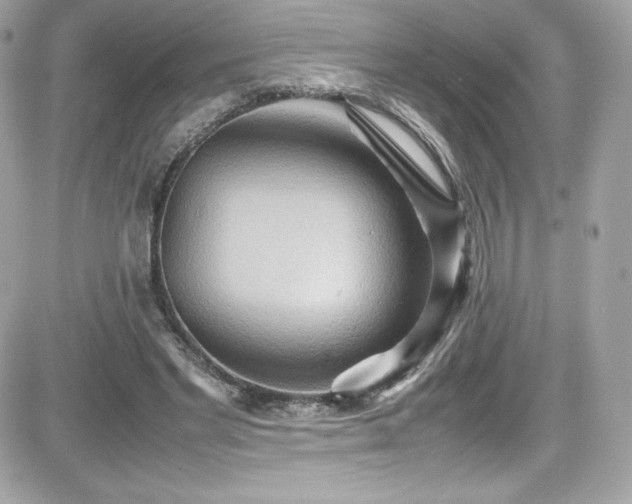 X0000081590493200701221056