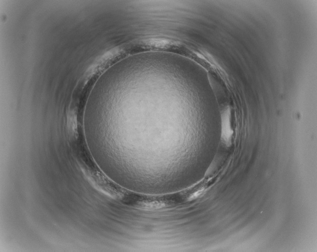 X0000081590500200701221056