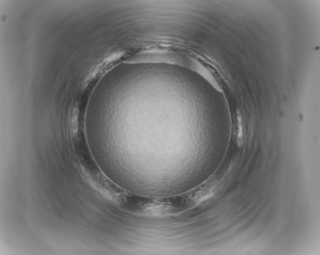 X0000081590504200701221056