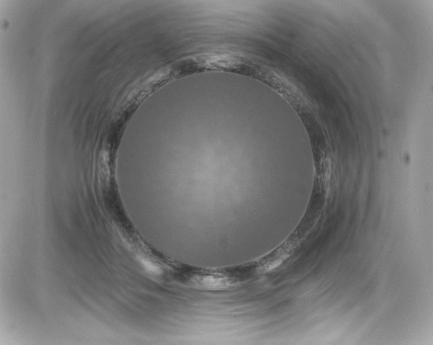 X0000081590506200701221056