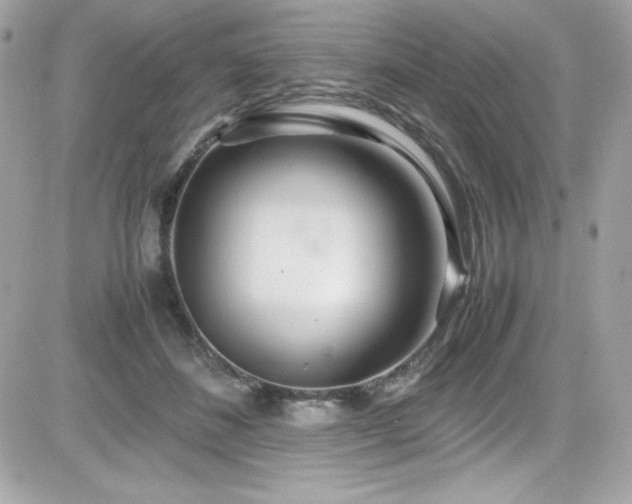X0000081590508200701221056
