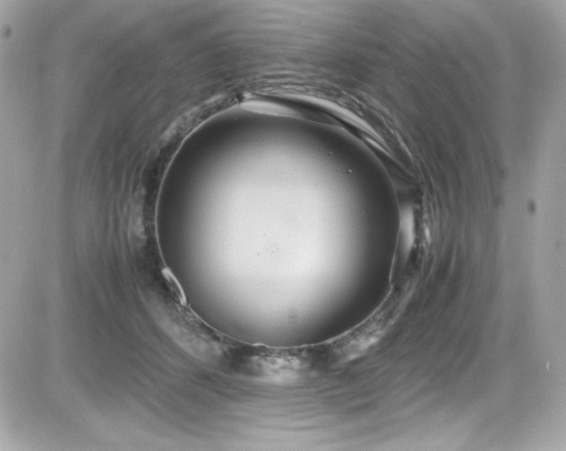 X0000081590512200701221056