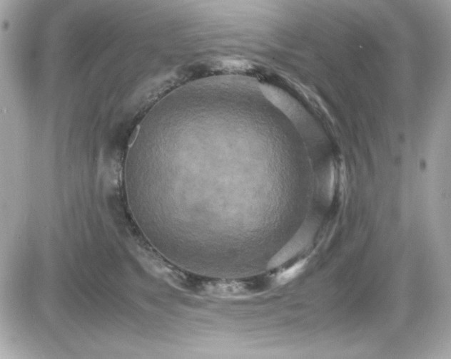 X0000081590517200701221056