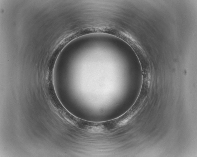 X0000081590548200701221055