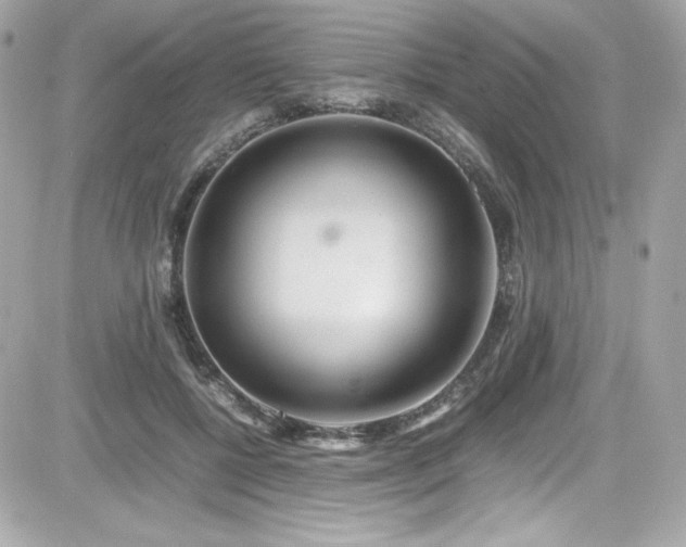 X0000081590552200701221055