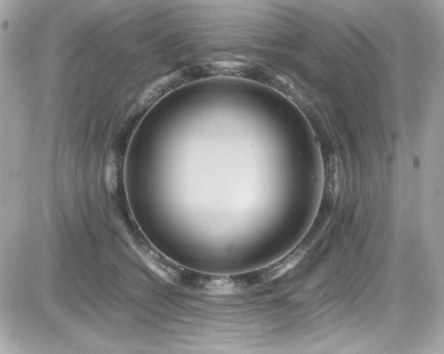 X0000081590562200701221056