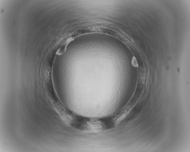 X0000081590603200701221055