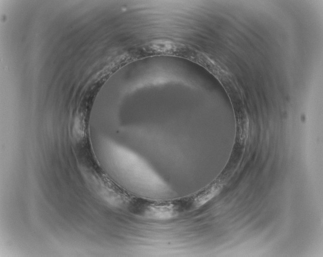 X0000081590606200701221055