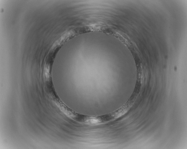 X0000081590610200701221054