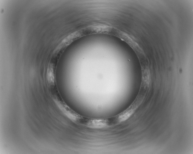 X0000081590622200701221054