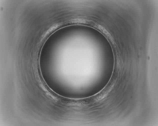 X0000081590625200701221053