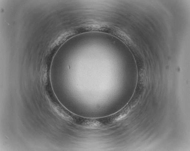 X0000081590642200701221054