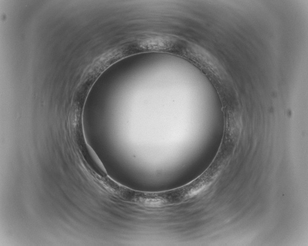 X0000081590645200701221054