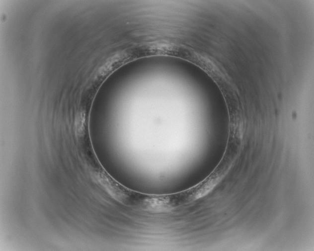 X0000081590660200701221054