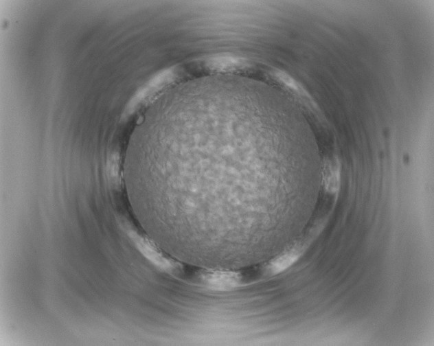 X0000081590670200701221054