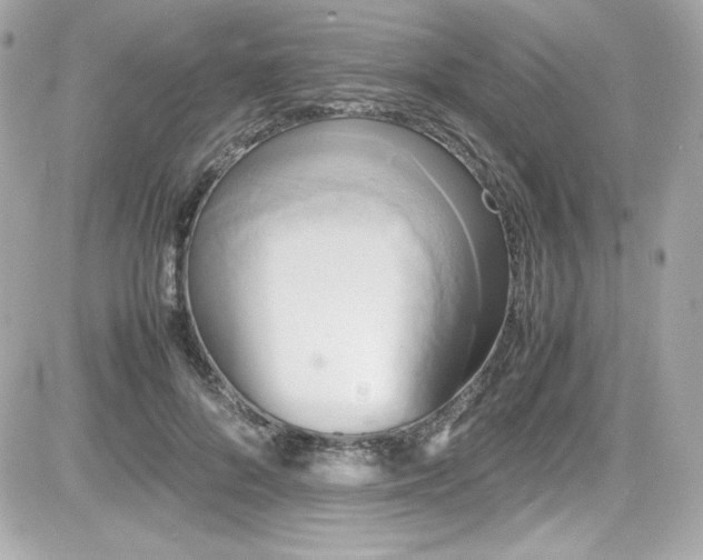 X0000081590696200701221053