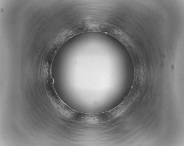 X0000081590702200701221053