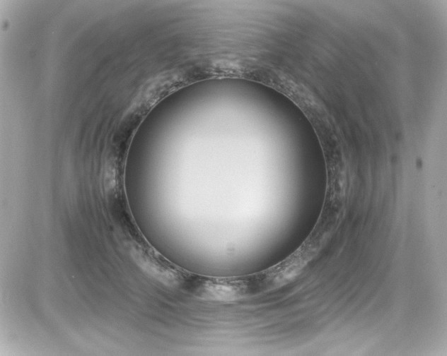 X0000081590706200701221053