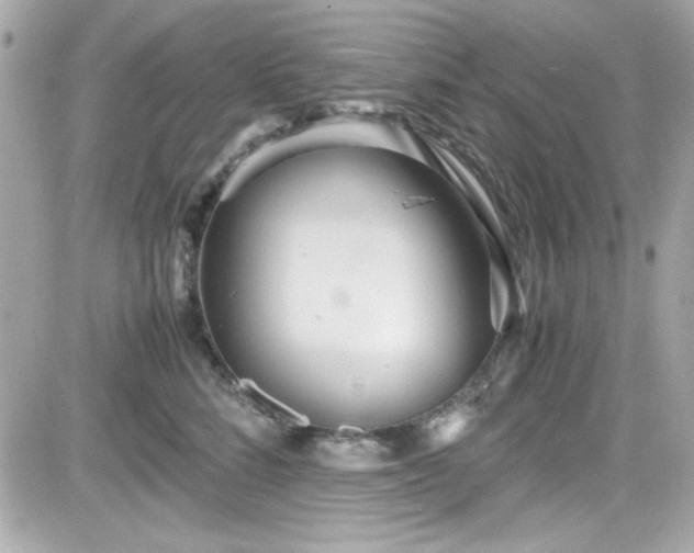 X0000081590712200701221053