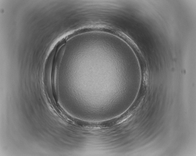 X0000081590724200701221052